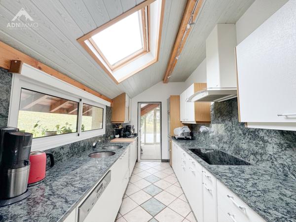 Pougny (01550) Maison 9 Pièces 245 m2