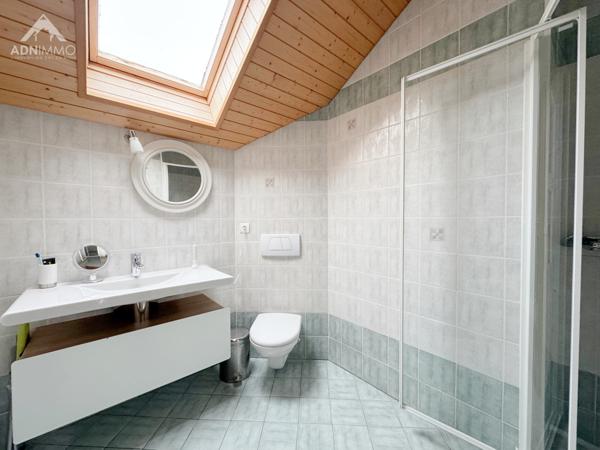 Pougny (01550) Maison 9 Pièces 245 m2