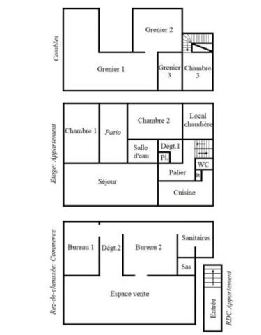 LocalCommercial + Appartement avec Patio à vendre 8 pièces SAINT CALAIS (72) Ensemble immobilier à fort potentiel