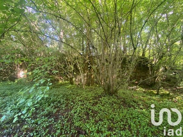 Terrain à vendre 6 922 m² Vézac