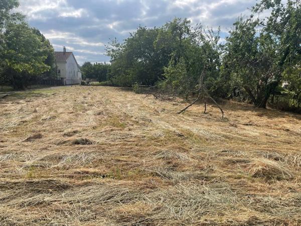 Vente Terrain à Laroque-d'Olmes