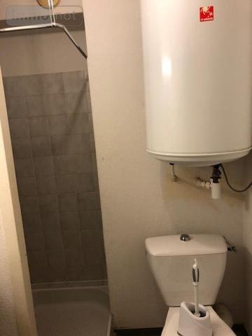 Appartement à louer à Nantes en Loire-Atlantique (44300), ref : 44028-L162