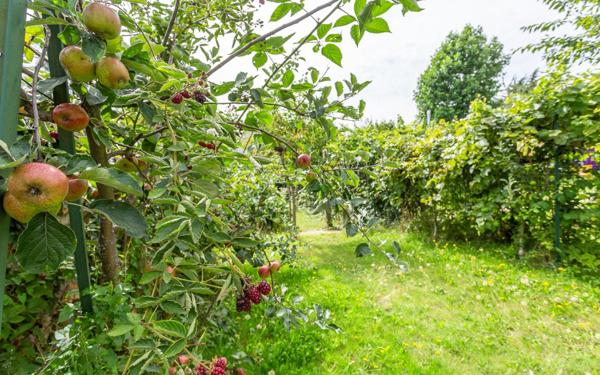 Maison à vendre    4 pièces • 83,91 m2 Épinay-sur-Orge