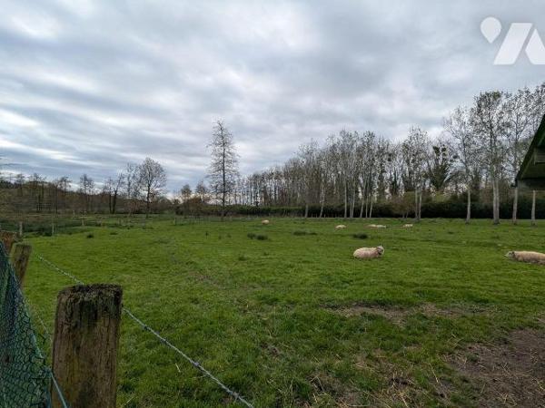 Terrains de loisirs et étangs à vendre à Argenvilliers (28480) en Eure-et-Loir (28)

Le terra...