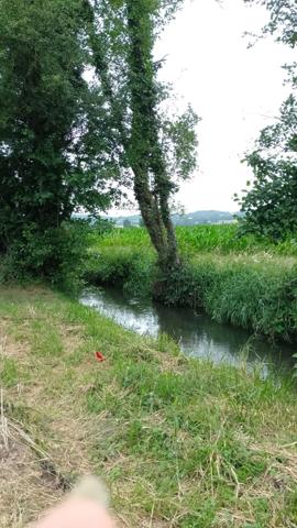 Terrain à vendre MONDAVEZAN (31)