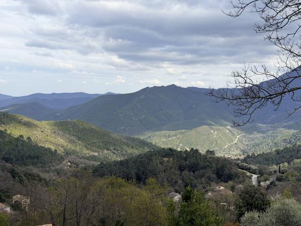 Terrain agricole à VENACO (20231)