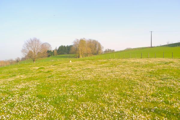 Guiche (64520) Guiche - Terrain constructible avec belle vue