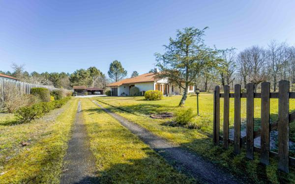 Maison à vendre    4 pièces •  Saint-Julien-en-Born
