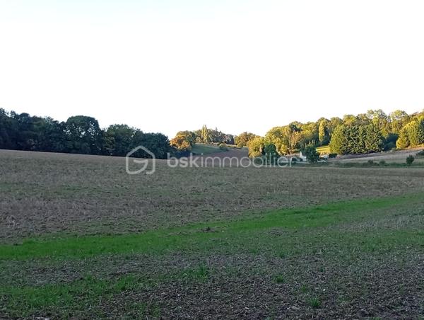 Terrain agricole de 28 974 m²