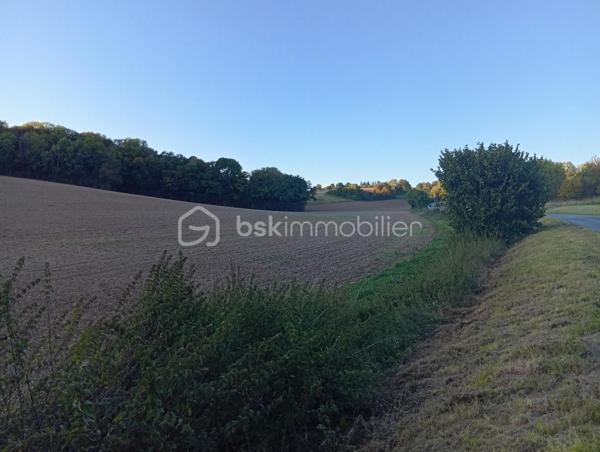 Terrain agricole de 28 974 m²