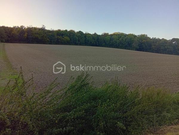 Terrain agricole de 28 974 m²