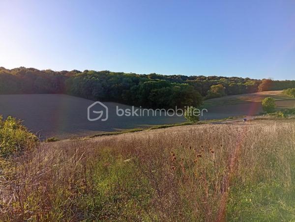 Terrain agricole de 28 974 m²