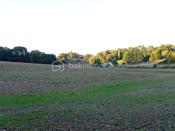 Terrain agricole de 28 974 m²