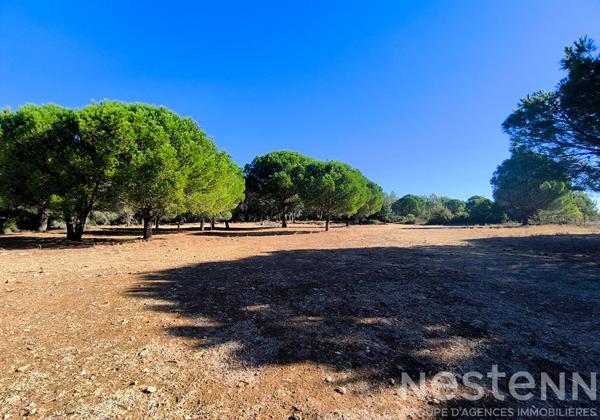 Villa de plain-pied de 158 m² avec studio, piscine et 1,5 hectare de terrain