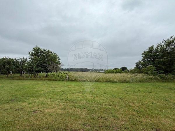 Terrain  en vente - Allier - 03