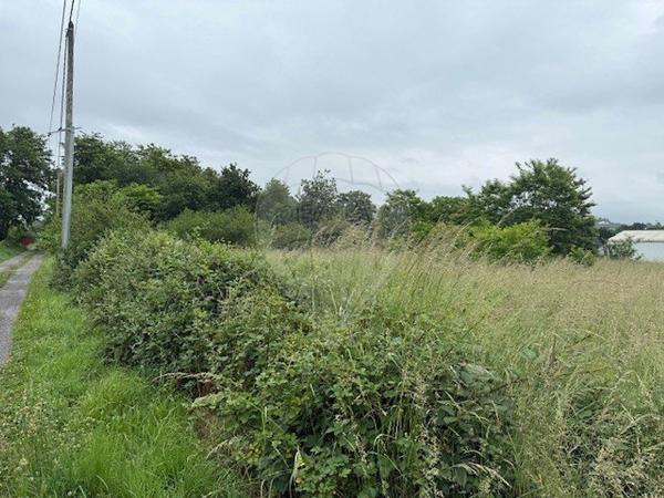 Terrain  en vente - Allier - 03