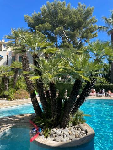 Cannes, 100m de la plage, piscine extérieure, intérieure, sauna, hammam, possibilité garage en sous-sol...