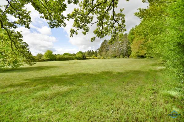 Maison à vendre 7 pièces VIGNOUX SUR BARANGEON (18)