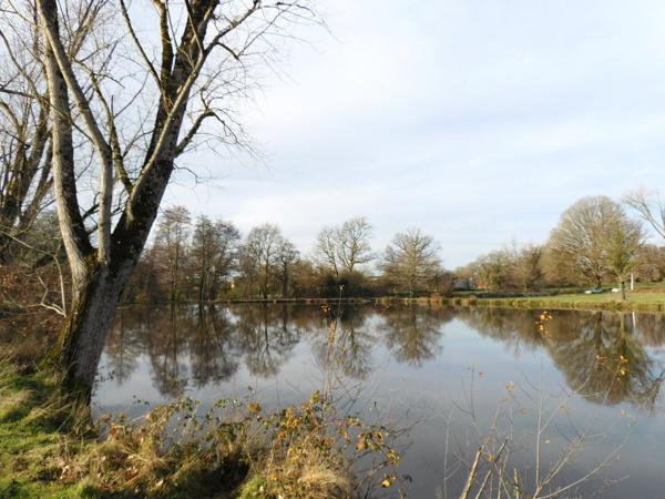 87250 BESSINES-SUR-GARTEMPE - Propriété de 1 hectares 1/2 avec étang.