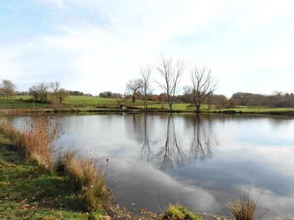 87250 BESSINES-SUR-GARTEMPE - Propriété de 1 hectares 1/2 avec étang.