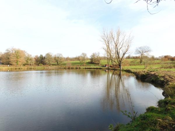 87250 BESSINES-SUR-GARTEMPE - Propriété de 1 hectares 1/2 avec étang.