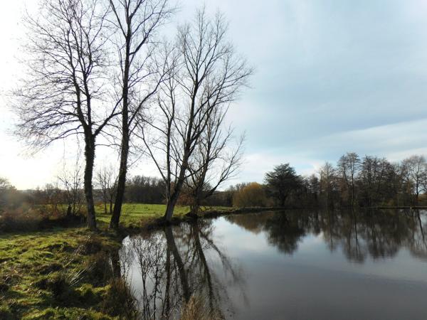 87250 BESSINES-SUR-GARTEMPE - Propriété de 1 hectares 1/2 avec étang.