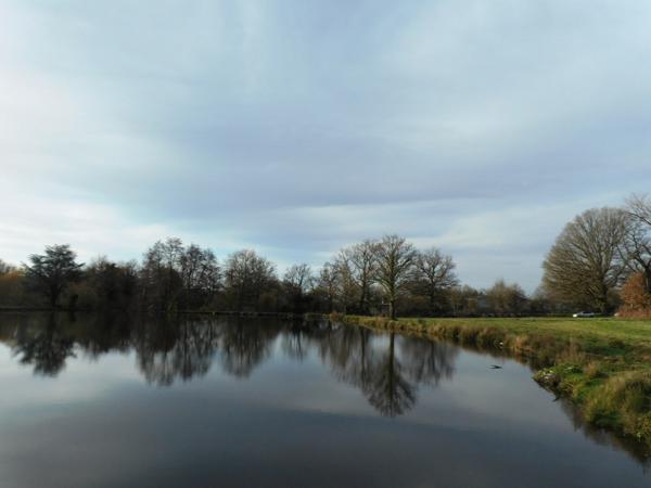 87250 BESSINES-SUR-GARTEMPE - Propriété de 1 hectares 1/2 avec étang.