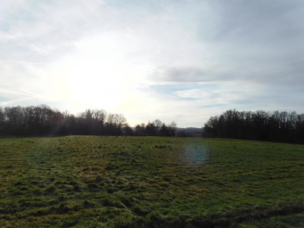 87250 BESSINES-SUR-GARTEMPE - Propriété de 1 hectares 1/2 avec étang.