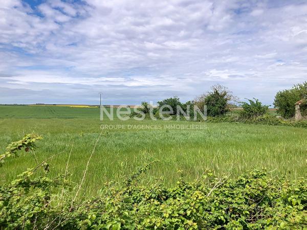 A VENDRE - Terrain constructible sur la commune de MONTREUIL
