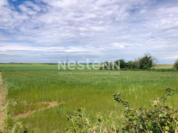 A VENDRE - Terrain constructible sur la commune de MONTREUIL