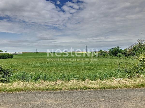 A VENDRE - Terrain constructible sur la commune de MONTREUIL