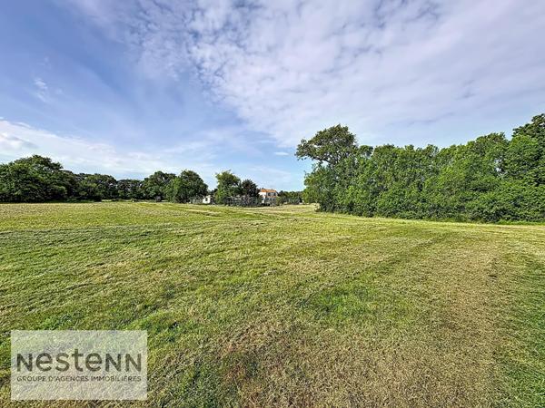 Maison ancienne de charme à vendre à Sallertaine - 13 HECTARES
