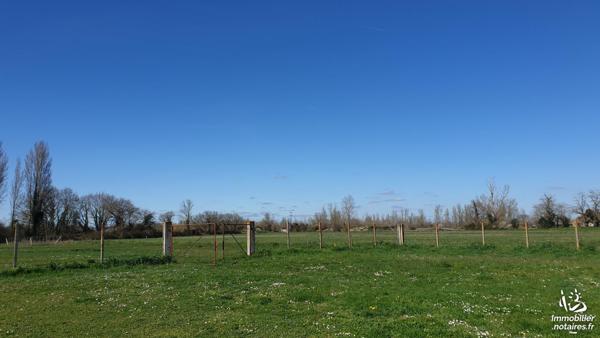NOE (31410) : terrain à bâtir, 1000 m2,  viabilisé. Quartier calme. Belle exposition.