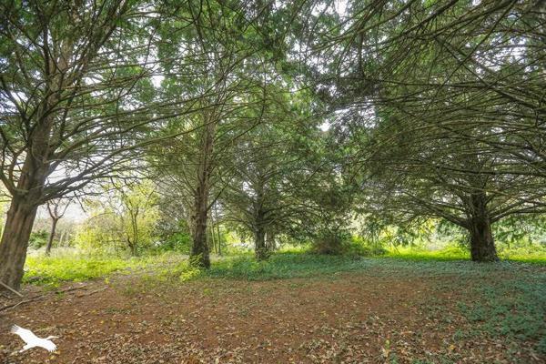 Maison à vendre |  Savigné-sur-Lathan |  8 pièces | 280 m²