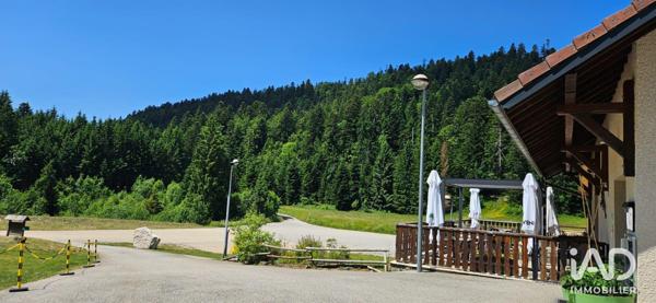 Restaurant à vendre 645 m² Plateau d'Hauteville