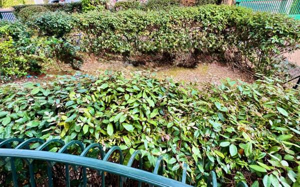 Appartement à vendre    3 pièces •  Soorts-Hossegor