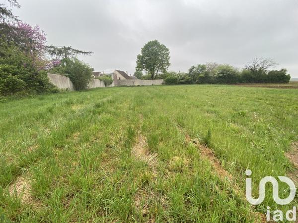 Terrain à vendre 1 258 m² Château-Landon