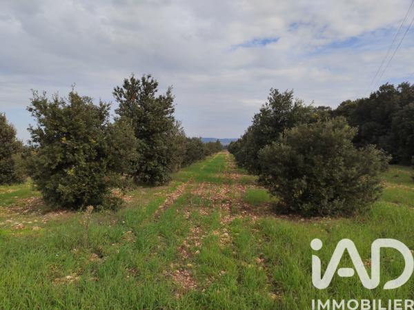 Terrain à vendre 5 708 m² Sainte-Cécile-les-Vignes