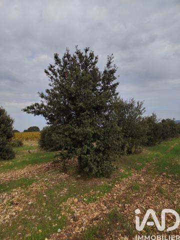 Terrain à vendre 5 708 m² Sainte-Cécile-les-Vignes