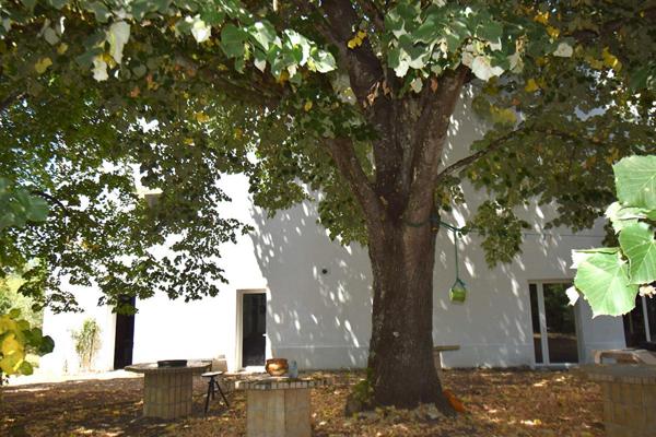 82100, Castelsarrasin, Maison / Moulin restauré  7 pièces et 4 chambres et combles emménageables  avec bras de rivière entièrement privatif