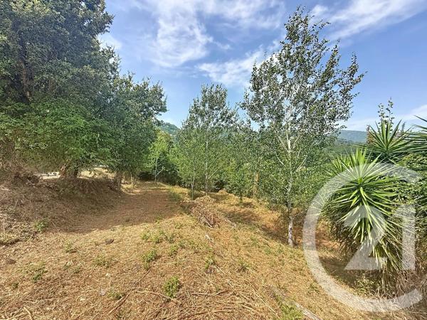 Terrain à vendre  2000 m 2   SAN NICOLAO  - 202