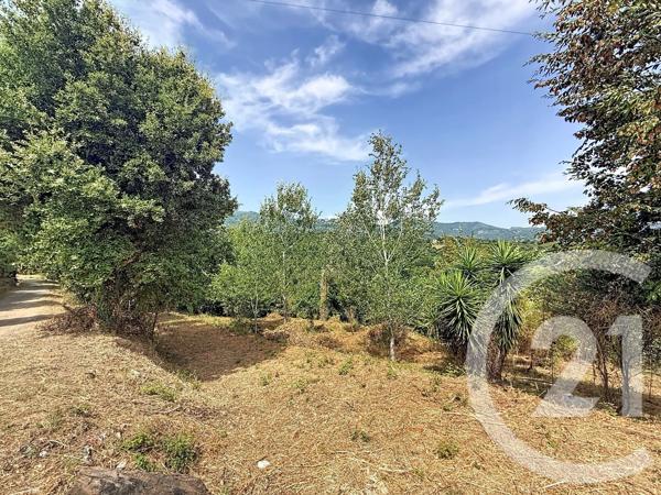 Terrain à vendre  2000 m 2   SAN NICOLAO  - 202