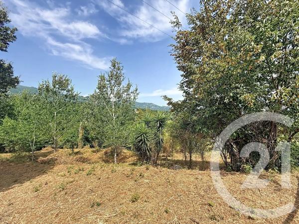 Terrain à vendre  2000 m 2   SAN NICOLAO  - 202