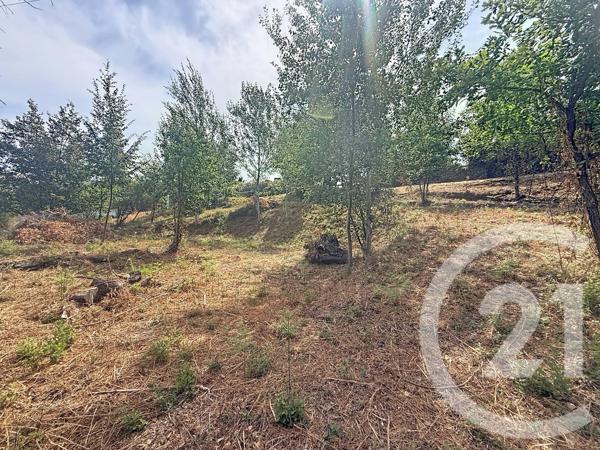 Terrain à vendre  2000 m 2   SAN NICOLAO  - 202