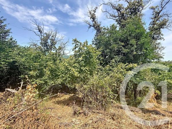 Terrain à vendre  2000 m 2   SAN NICOLAO  - 202