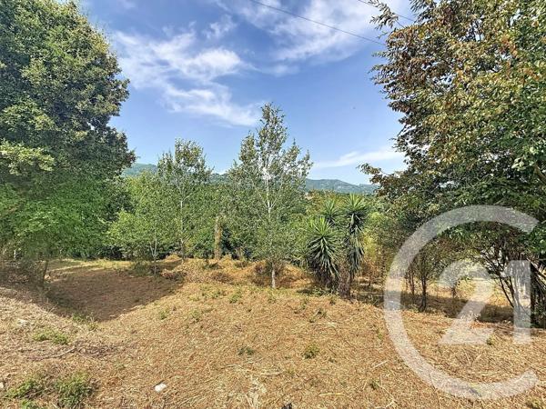 Terrain à vendre  2000 m 2   SAN NICOLAO  - 202