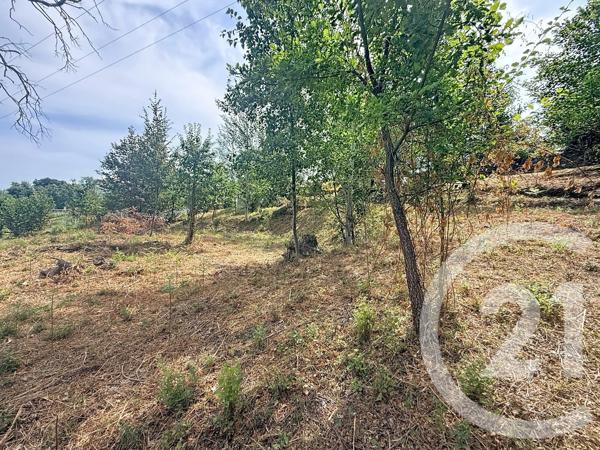 Terrain à vendre  2000 m 2   SAN NICOLAO  - 202