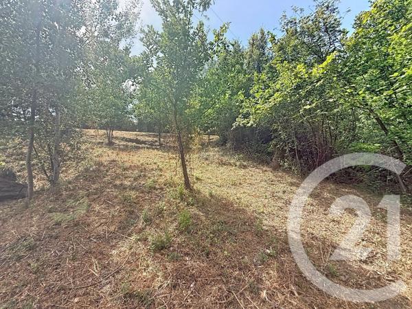 Terrain à vendre  2000 m 2   SAN NICOLAO  - 202