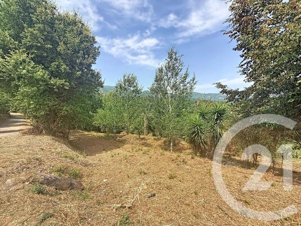 Terrain à vendre  2000 m 2   SAN NICOLAO  - 202