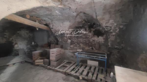 Ancienne Ecurie à restaurer